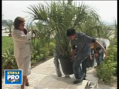 19palmieribeta230908