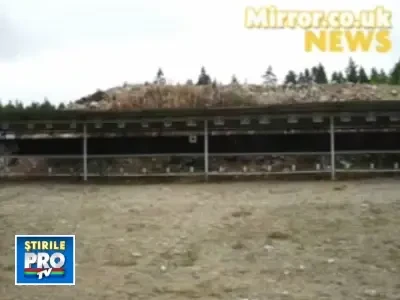 Presupusul asasin din Finlanda este in stare grava