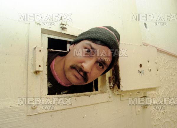 Detinuti scosi la munca in Satu Mare