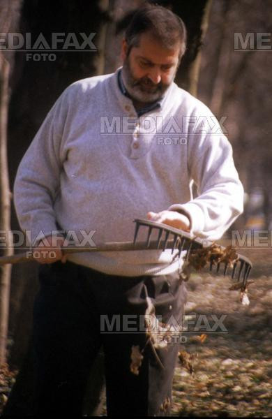 Incepe numaratoarea inversa pana la curatenia generala de toamna!