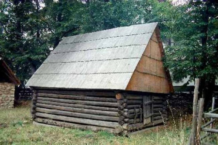 Si-a pierdut o ureche dupa ce a fost batut cu bestialitate!