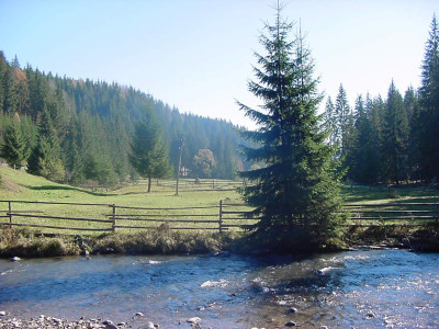 Scandal intr-o localitate mureseana, din cauza unui parau