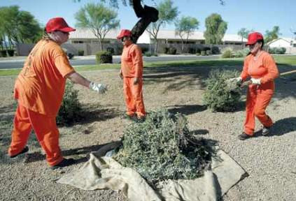 Criza pe piata fortei de munca: angajatorii apeleaza la detinuti!