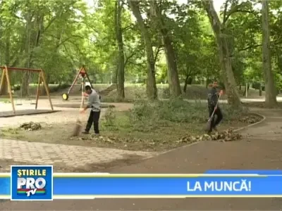 Detinuti scosi la munca in Satu Mare