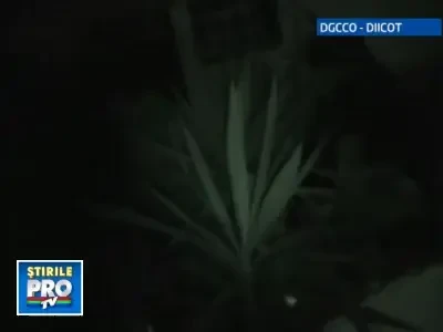 Atentie la elementele de securitate de pe bancnote! Circula bani falsi!