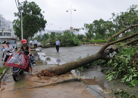 Taiwan: taifunul Hagupit a ucis 25 de oameni