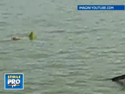 Captura record si farse la Cupa Mondiala de Prins Crap