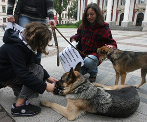 Protest al stapanilor de caini in capitala Bulgariei