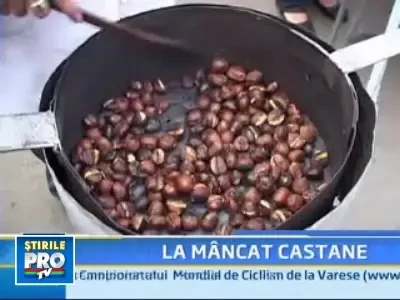 Baia Mare:festivalul castanelor e in toi!