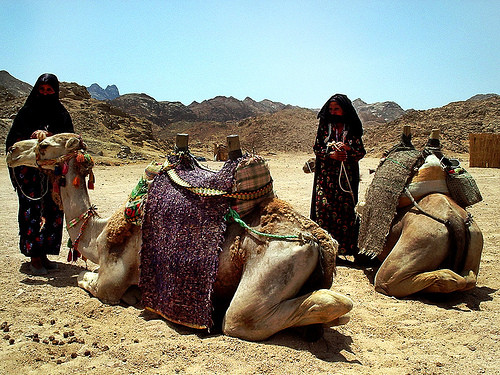 Egiptul isi vrea turistii inapoi. Au fost deschise pentru vizita 6 morminte din epoca Tutankamon