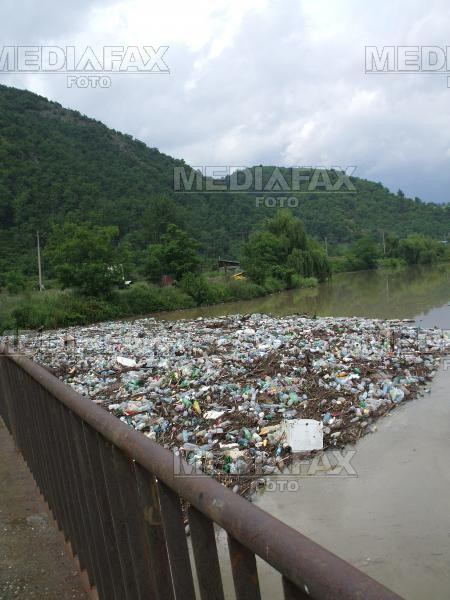 Cosuri de gunoi ecologice pe malurile Crisului Repede