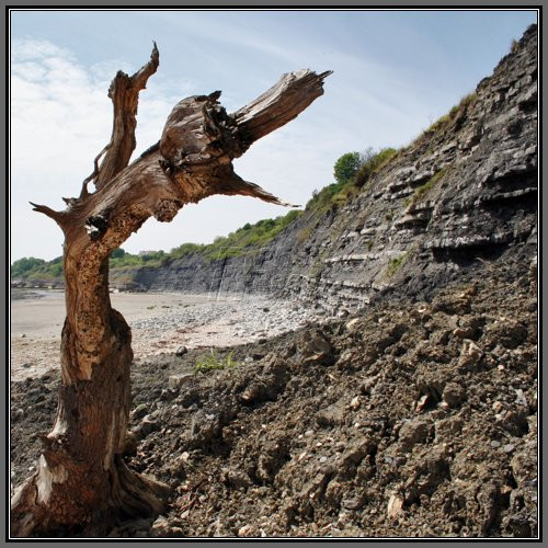 Tragedie in Guatemala. Cel putin 37 de morti in urma alunecarilor de teren