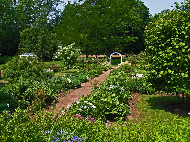 Vrei sa ai o gradina mereu verde? Afla ca acum poti, numai ca te costa