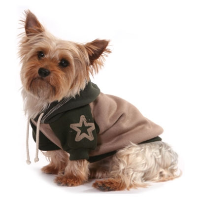 Noua colectie toamna-iarna pentru caini!