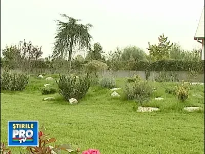 19gradiniiarna290908