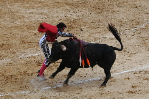 Socant! Zeci de columbieni spitalizati dupa ce au infruntat tauri furiosi