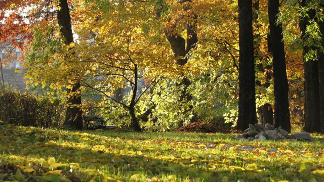 Weekend ca de primavara. Vremea buna i-a scos pe romani din case