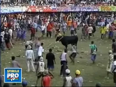 Imagini socante! Columbienii au infruntat tauri furiosi