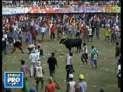 Socant! Zeci de columbieni spitalizati dupa ce au infruntat tauri furiosi