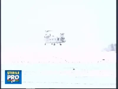 Cei 19 turisti rapiti in Egipt s-au intors cu bine acasa