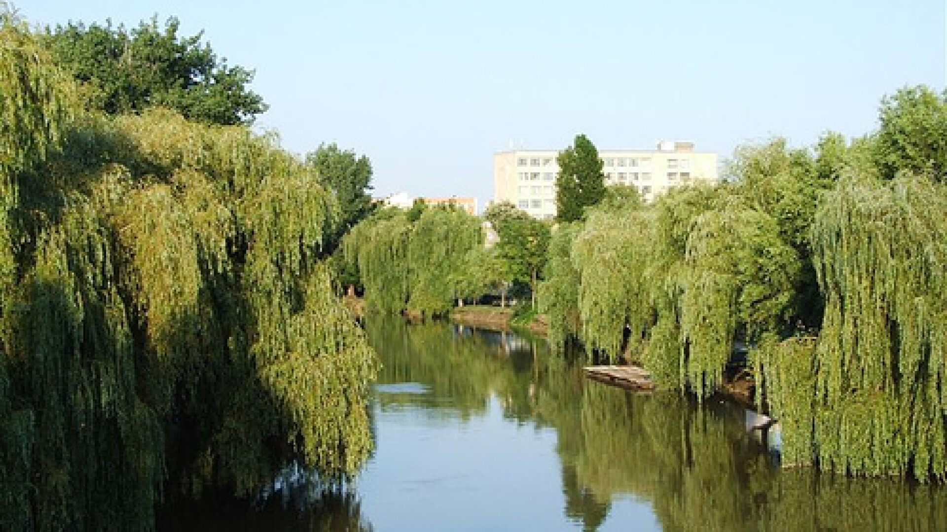 Au inceput lucrarile care vor transforma Bega in primul canal navigabil!