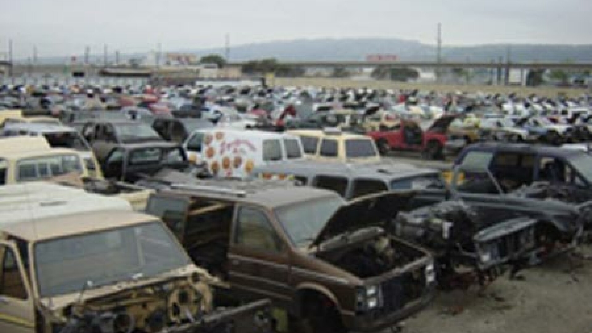 Voucherele pentru rable s-au epuizat in jumatate de ora la Arad. Cate au fost alocate judetului