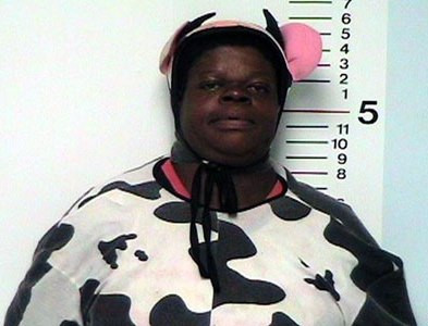 O vaca vorbitoare? Suge-mi ugerul!