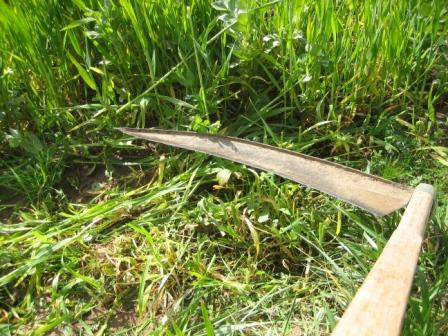 Un tanar din Bihor si-a injunghiat varul cu coasa!