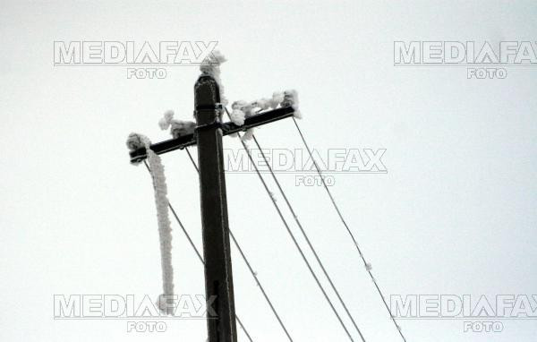 Hoti de cablu prinsi de politistii aradeni