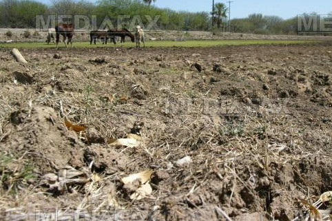 Ploiesti: gata cu rachetele antigrindina in acest an