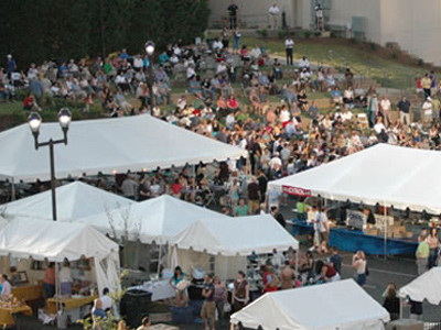 Alessia, Andreea Banica si Elena Gheorghe vor canta la Festivalul Verii organizat la Sannicolau Mare