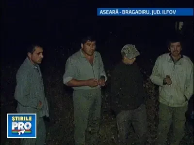 Sfarsit tragic pentru un cal lovit intr-un accident auto