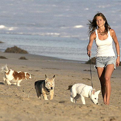 Jennifer Aniston are probleme cu iubitul din cauza cainilor ei