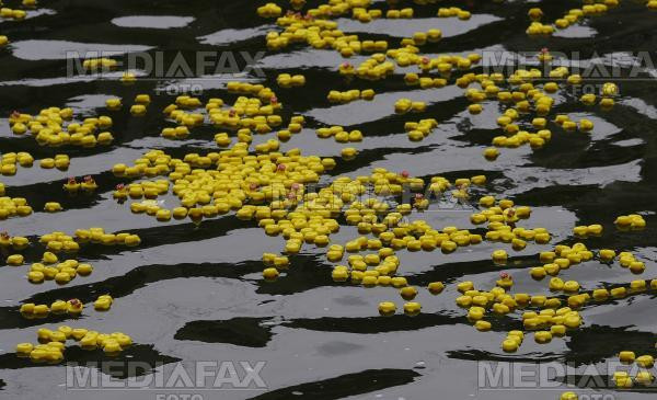 Ratustele se pregatesc de competitie. Programul festivalului Bega Bulevard