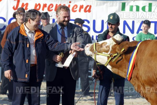 Joiana a castigat concursul "Miss Baltata Romaneasca"!