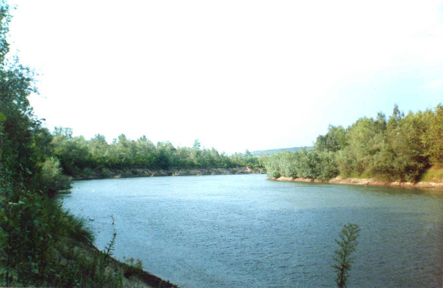 Alerta pe Prut! Raul a depasit cota de inundatii