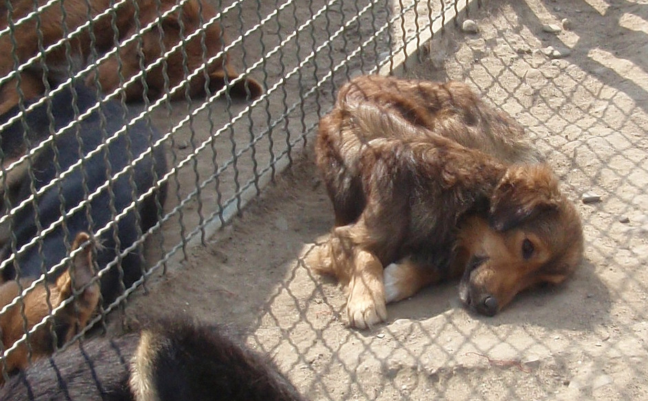 Uita-te in ochii lor si spune ca nu-ti pasa!