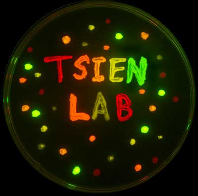 Premiul Nobel pentru Chimie, impartit frateste de trei americani