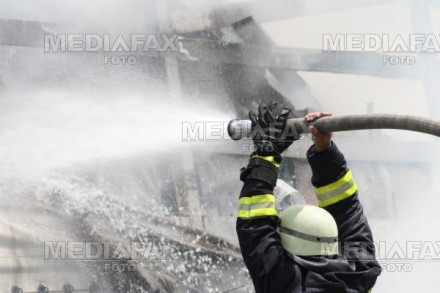 IMAGINI SOCANTE. 2.200 de porci au murit intr-un incendiu la Andrid