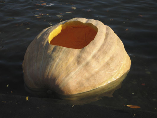 Criza impinge la masuri extreme: "case" plutitoare din dovleci!