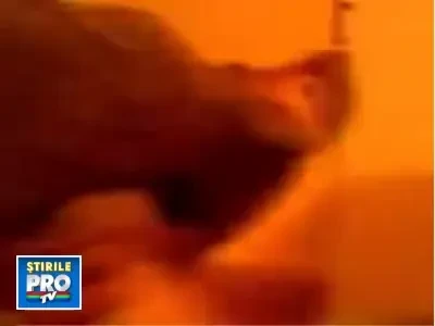 Ciuperca uriasa descoperita in localitatea Balan