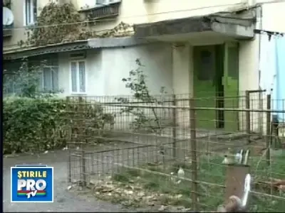 Luata cu forta de pe strada, amenintata cu moartea si violata