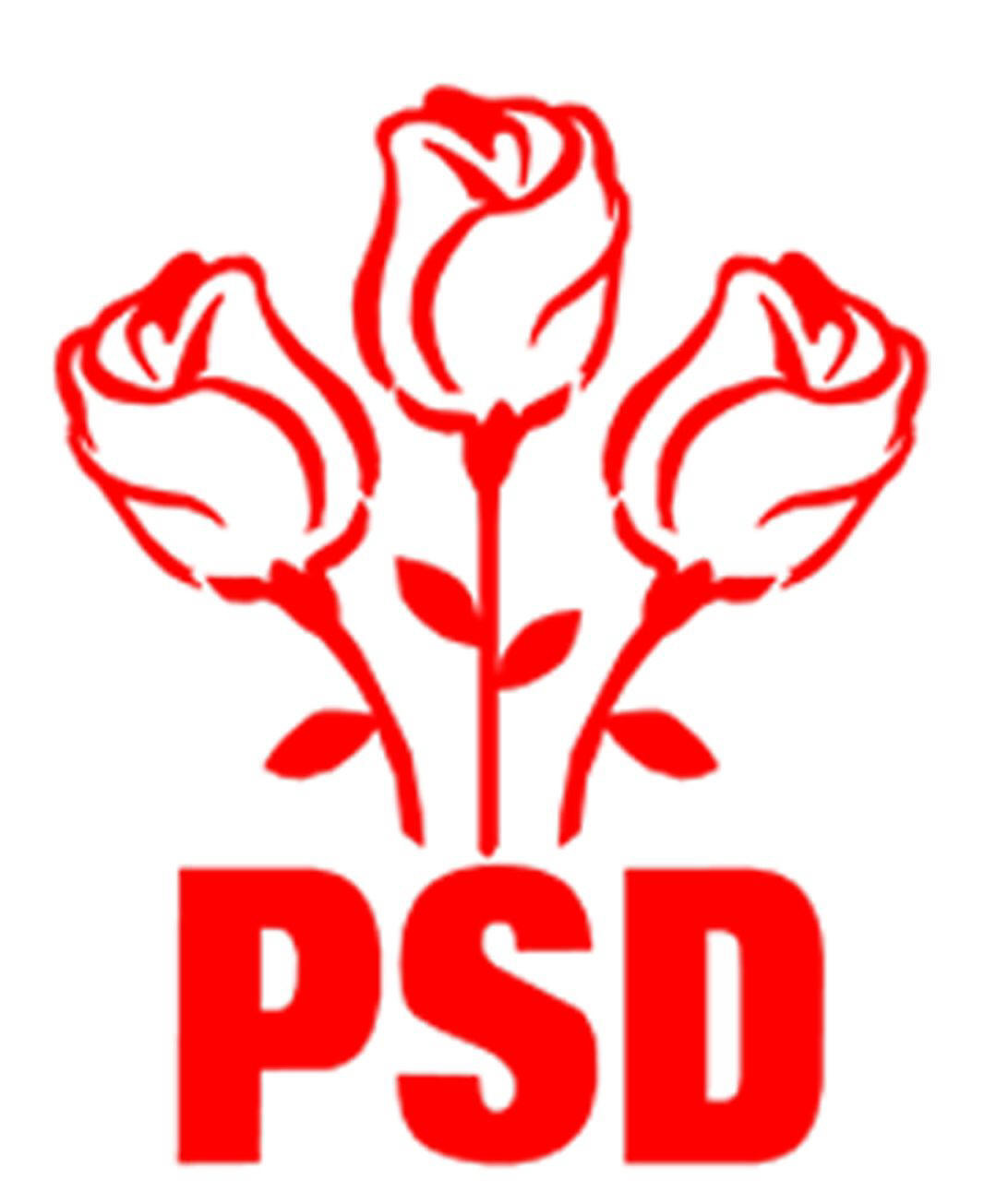 Forfota mare la PSD inaintea Congresului. Se refac aliantele