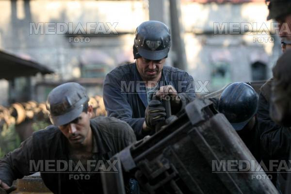 S-au razvratit ortacii din Oltenia!