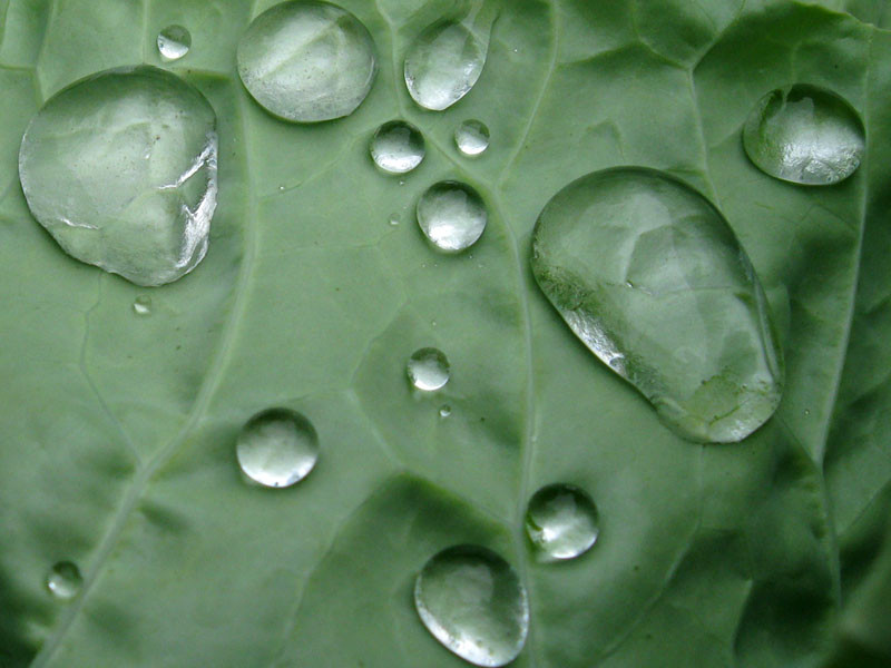 Week-end ploios in Romania! Ultimul dus rece inainte de arsita!