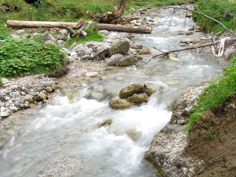Deces invaluit in mister pentru un batran din Brasov