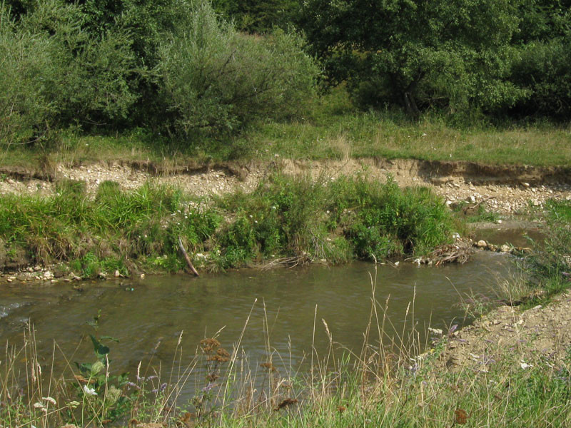 A murit inecata, desi apa nu avea mai mult de 1 metru adancime