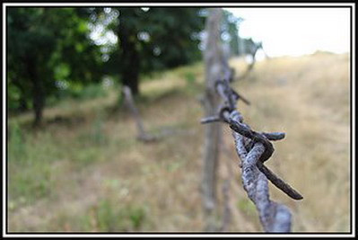 Dusa la spital cu doua bucati de gard in picior!