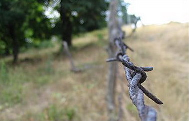 Gradinar obligat sa inlature gardul ghimpat ca sa nu raneasca hotii