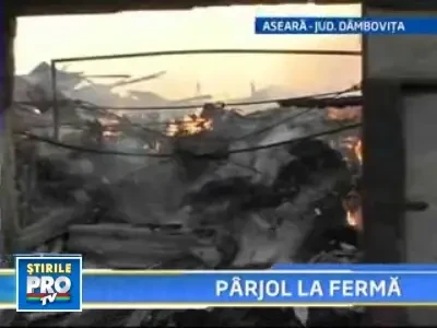 O tigara lasata aprinsa a declansat iadul la o ferma din Crevedia